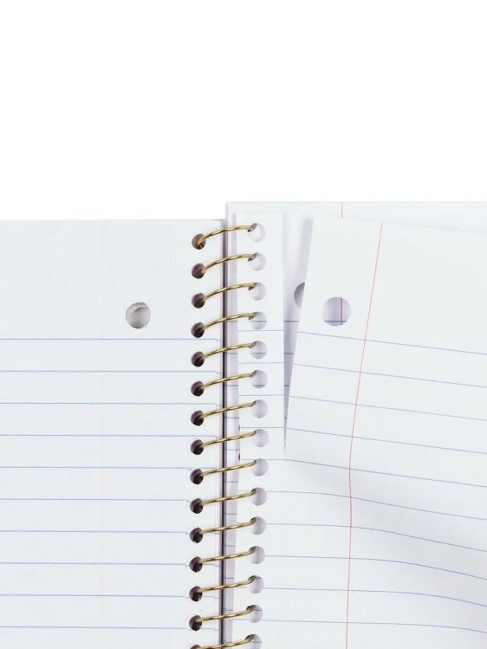 IN-HAND | LoveShackFancy x Target Yoobi Everblooming Rosettes Spiral Notebook